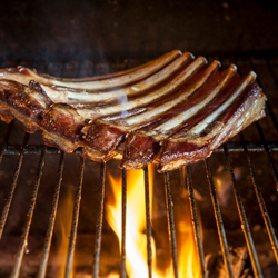 Lamb Ribs